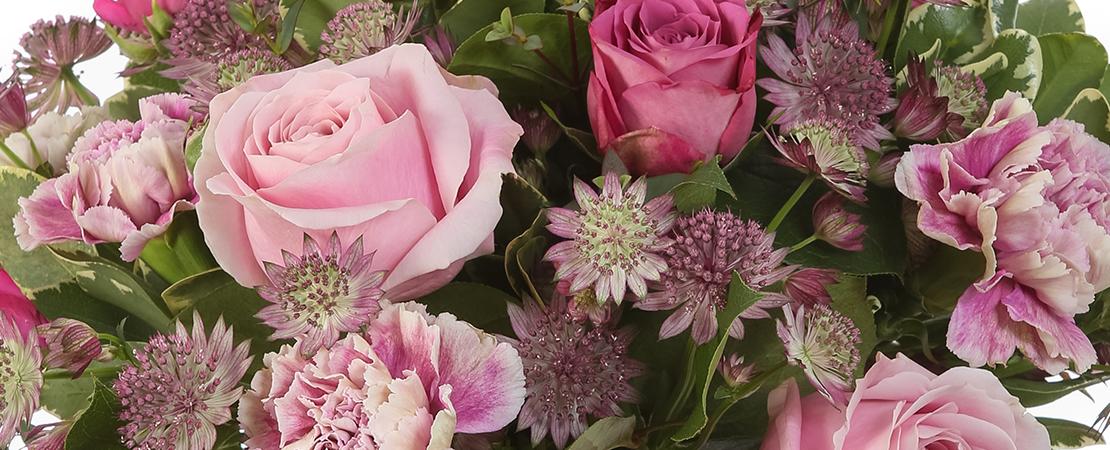 Petal Power - Interflora Florist Newtownards - send flowers to County ...